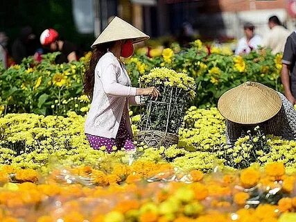 Học tiếng Anh và tìm thấy tình yêu: Câu chuyện của chị An và anh David